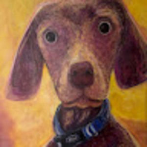 Meet your Posher, Dagweed